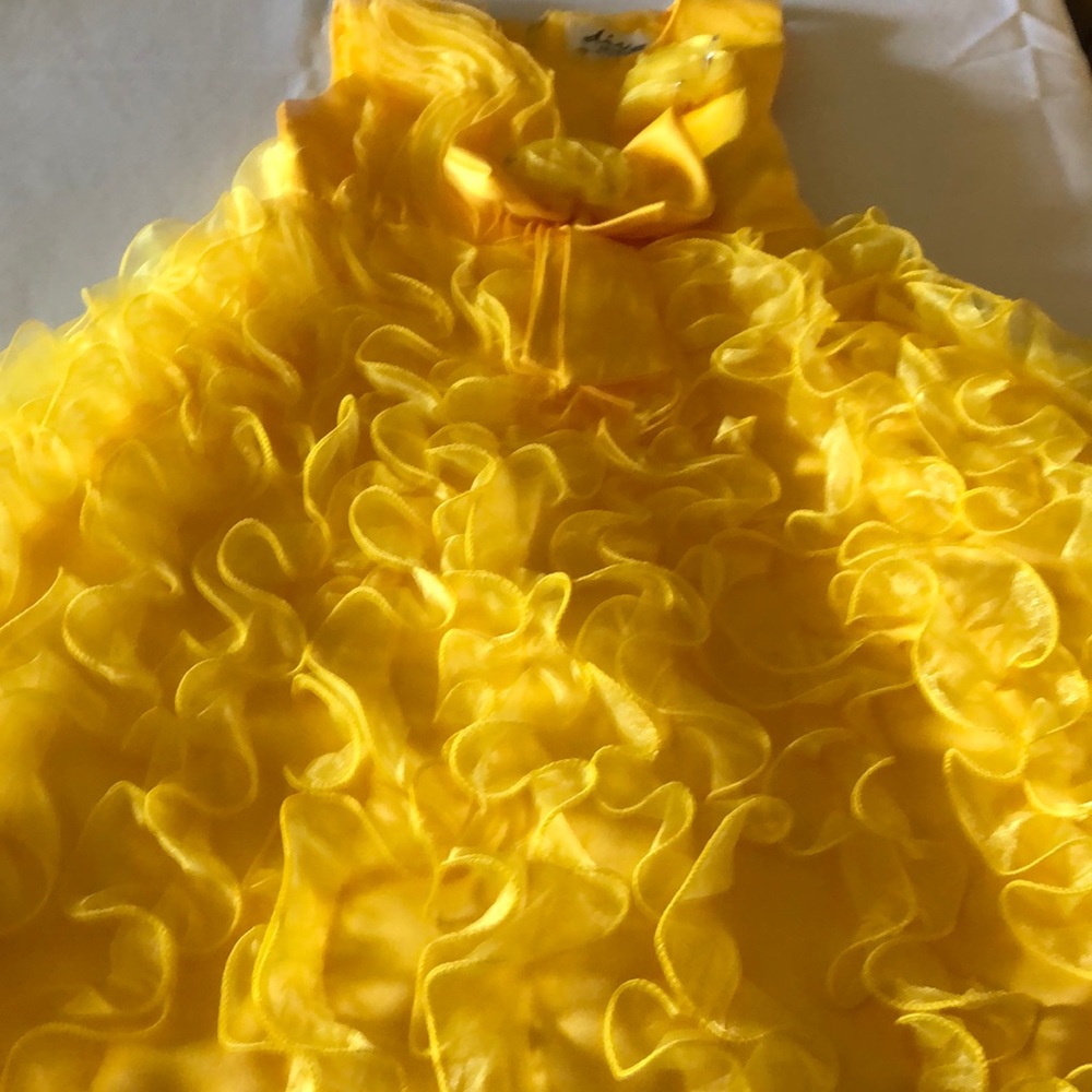 Diva Yellow Ruffle Girls Dress size 6